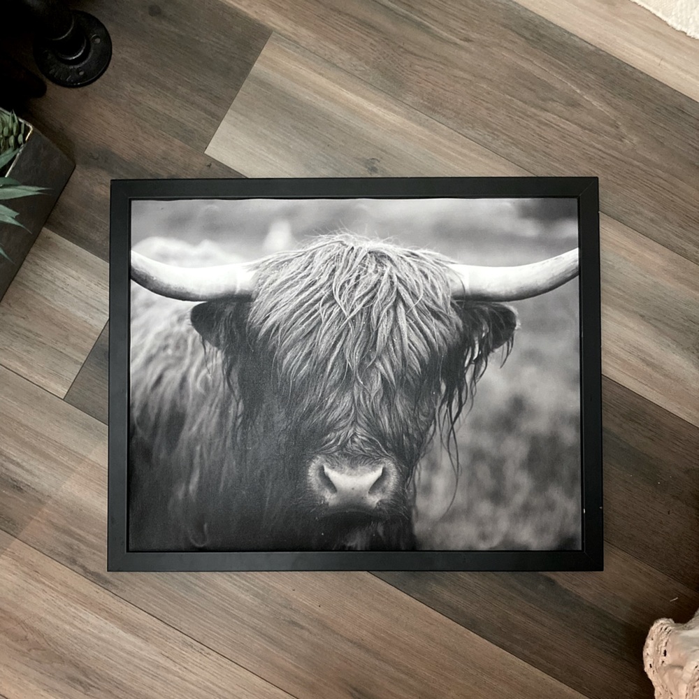 Black and White Highland Cow Wall Art Photograph - Framed